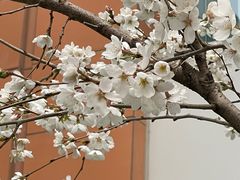 -山东省千佛山医院