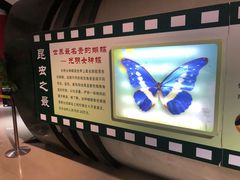 -上海昆虫博物馆