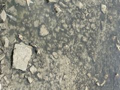 -贡湖湾湿地公园