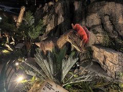 -陕西自然博物馆