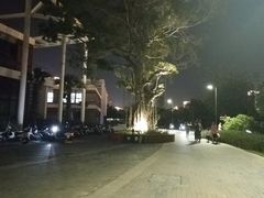 -三亚游船旅游中心(三亚鹿回头游艇游船公共码头店)