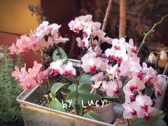 门面-二酉书店TOYOU BOOKS