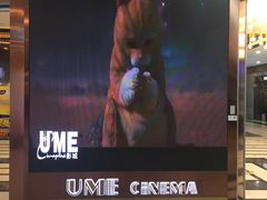 -UME影城(中国巨幕高新店)