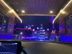 -枫花园汽车电影院(朝阳公园店)