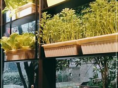 -靓靓蒸虾(中山里店)