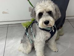 -达爱动物医院·犬猫分区·CT·复杂眼科(远洋山水分院)