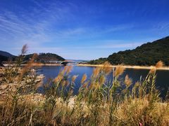 -广州市流溪河国家森林公园