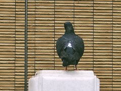 -园圃街雀鸟花园