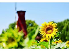 -廊坊文化艺术中心