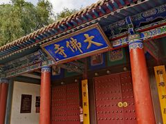 -张掖大佛寺景区