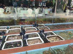 -景好海鲜餐厅(大鹏必选旅游店)