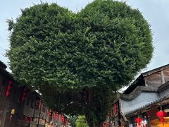 -星巴克(福州三坊七巷店)