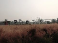 -花博汇(知音花月夜)