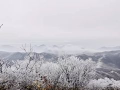 -湖州龙王山景区