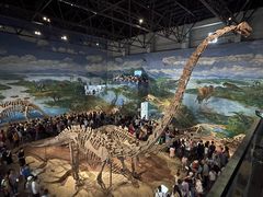 -自贡恐龙博物馆