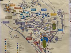 -香港大学