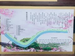 -桃花堤公园
