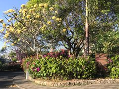 -巴厘岛悦榕庄Jumana露台餐厅