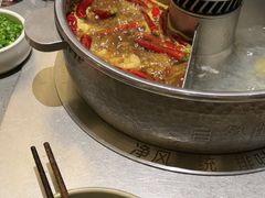 -巴奴毛肚火锅(二七万达店)