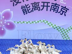 -金茂览秀城
