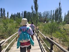 -黄沙古渡原生态旅游区
