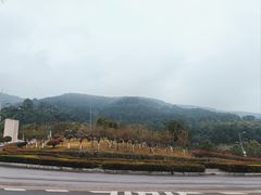 -铁山坪森林公园