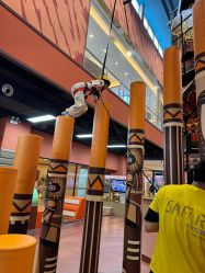 -卡通尼·Safari非洲探索乐园·生日会(金桥国际商业广场店)