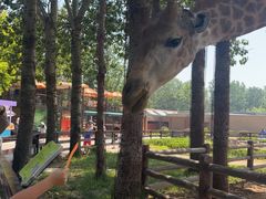 -大连森林动物园