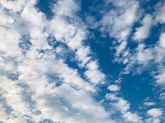 -赵家牛肉砂锅(台西三路店)