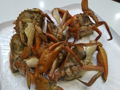 同安煎蟹-鑫悦楼煎蟹·16年海鲜大排档