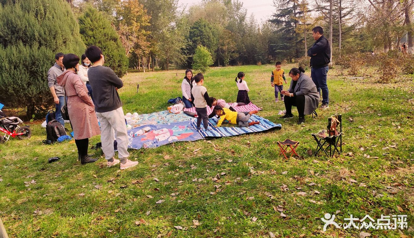 免费公园 近距离接触小动物