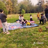 免费公园 近距离接触小动物