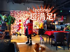 -百好乐宠物友好餐厅(朝外大街店)