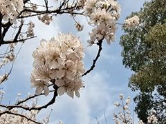 -渤公岛生态公园