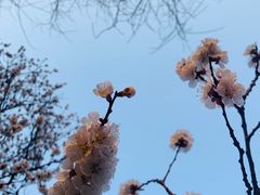 -廊坊市自然公园