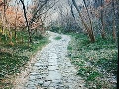 -镇江市南山风景名胜区竹林景区