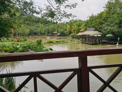 -呀诺达热带雨林