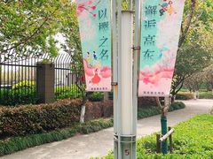 -高东镇樱花园
