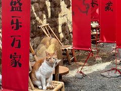 -南枝小馆(银鱼巷店)