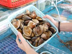 -四川小胡子海鲜(丁村万人海鲜广场店)