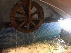 -禄源公·老莞诚饭店