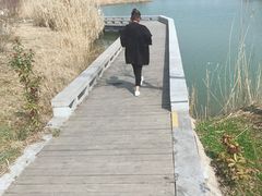 -洪泽湖古堰景区