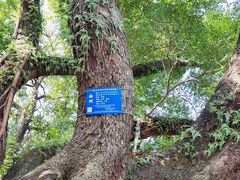 -桂林独秀峰王城景区