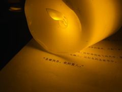 -剧狐剧本杀·月球探案馆(人民广场1号店)