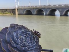 -临水阁农家乐饭店