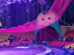 -俄罗斯国家大马戏团