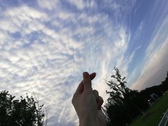 -精悦蓉(松江万达广场店)