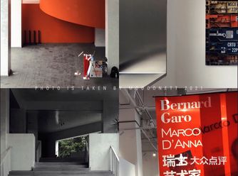 ｜️元艺术展最后5天️星球生命的色彩表达