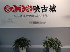 -西安唐皇城墙含光门遗址博物馆