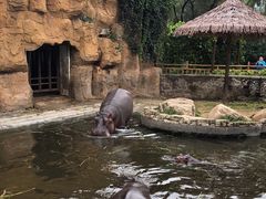 -沈阳森林动物园